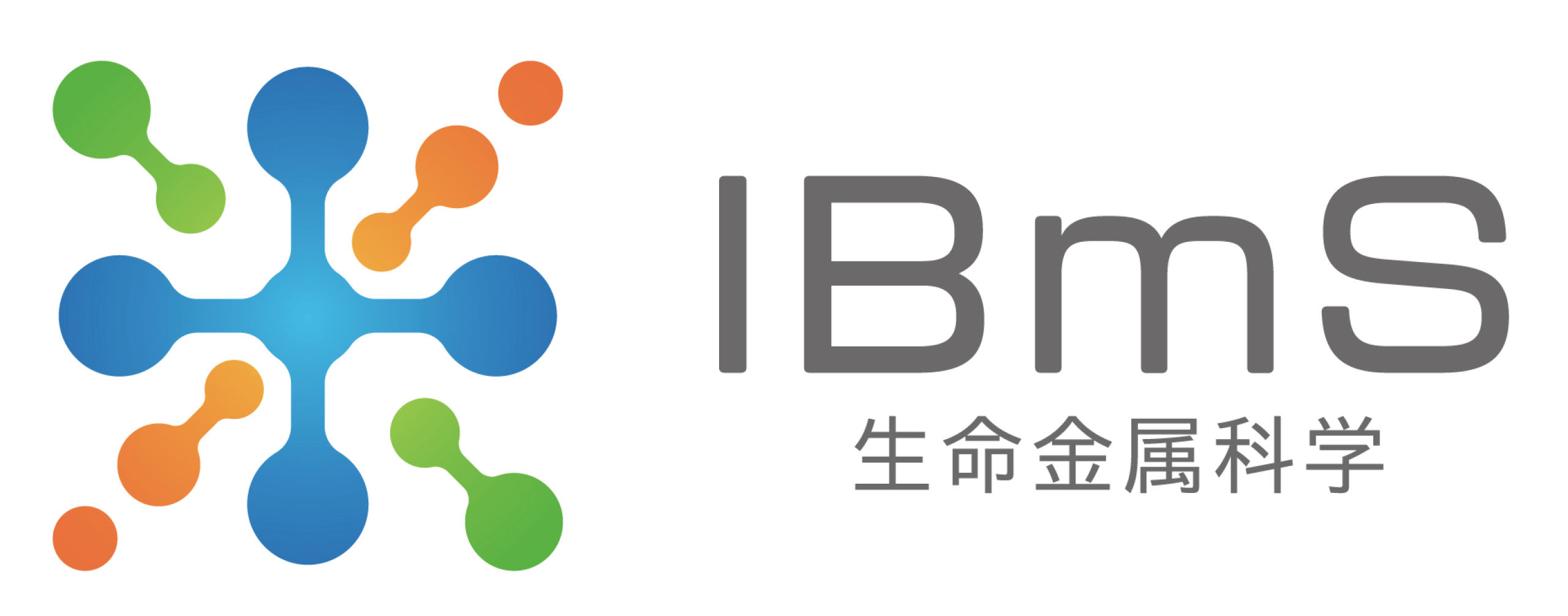 IBmS_Logo